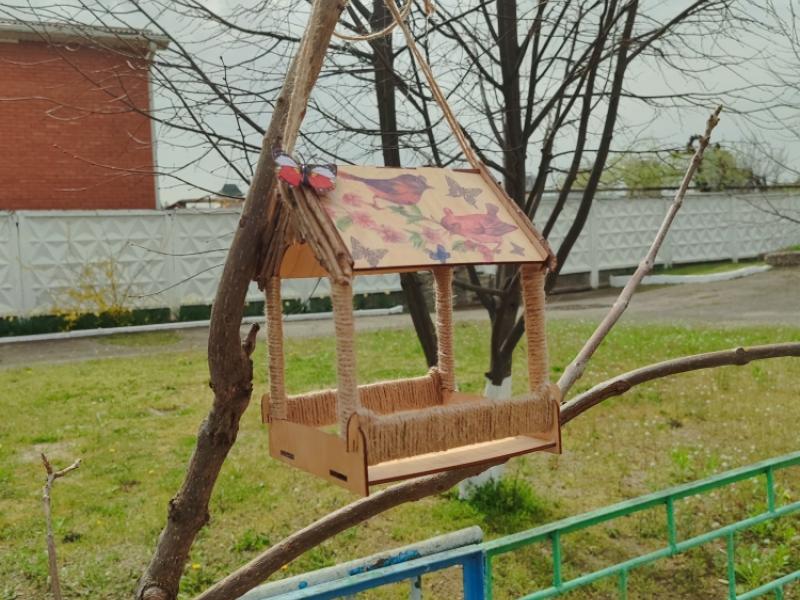 Берегите птиц. КОРМУШКИ - 2024